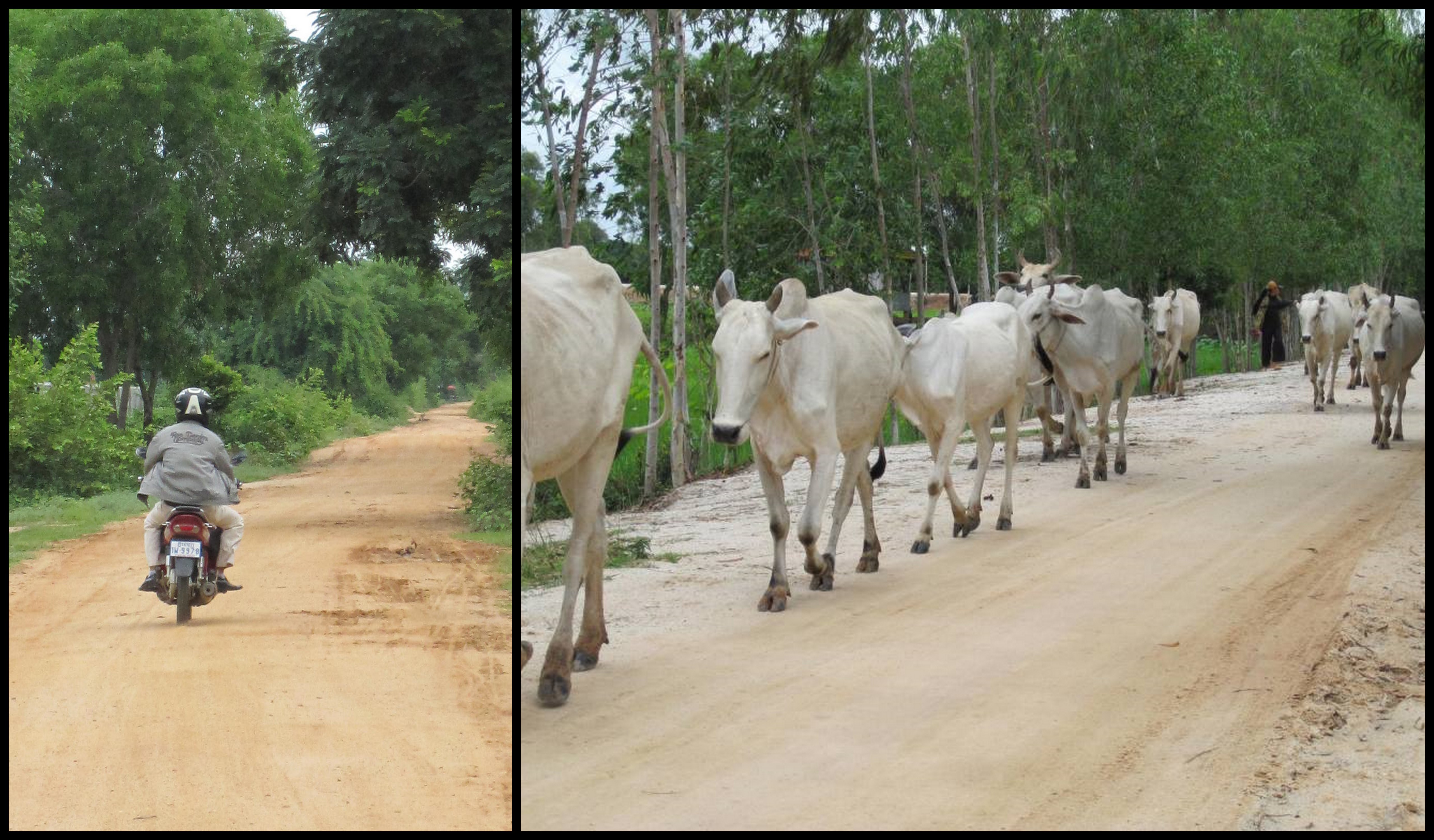 Khmer Farmer