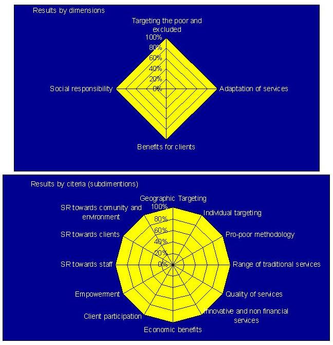 Graphical Representation of CERISE Social Performance model