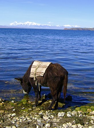 Lake Titicaca