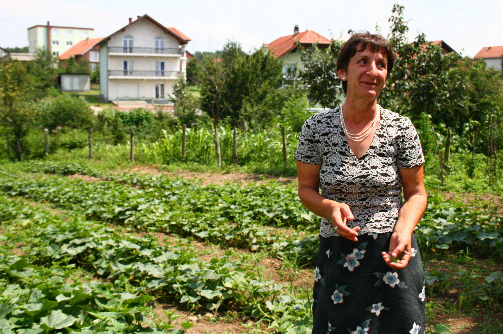 Fatima in her Well-Kept Cucumber Field