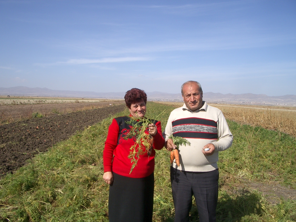 carrot farmer