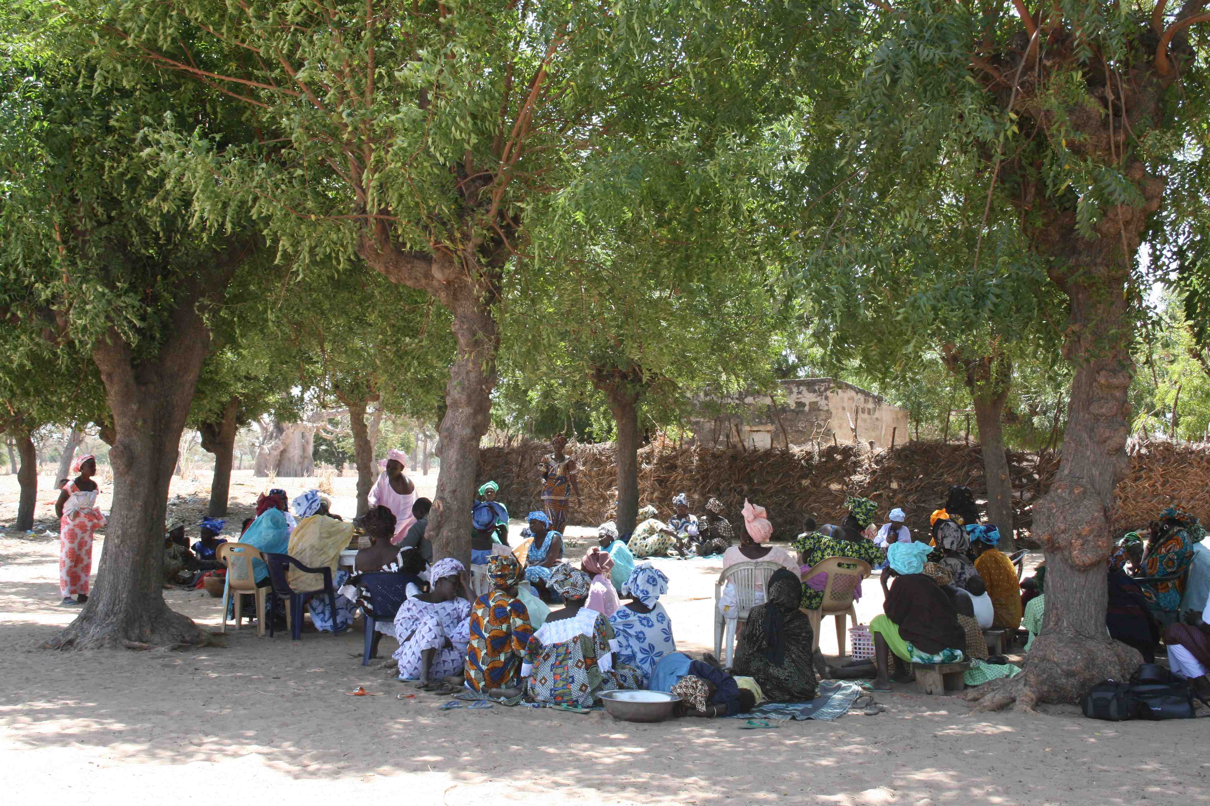 Village bank meeting in Mbousnack