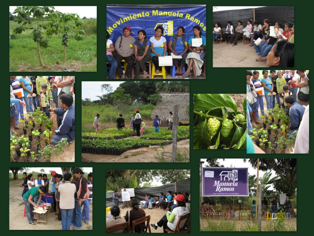 Workshop on Growing Ornamental Plants