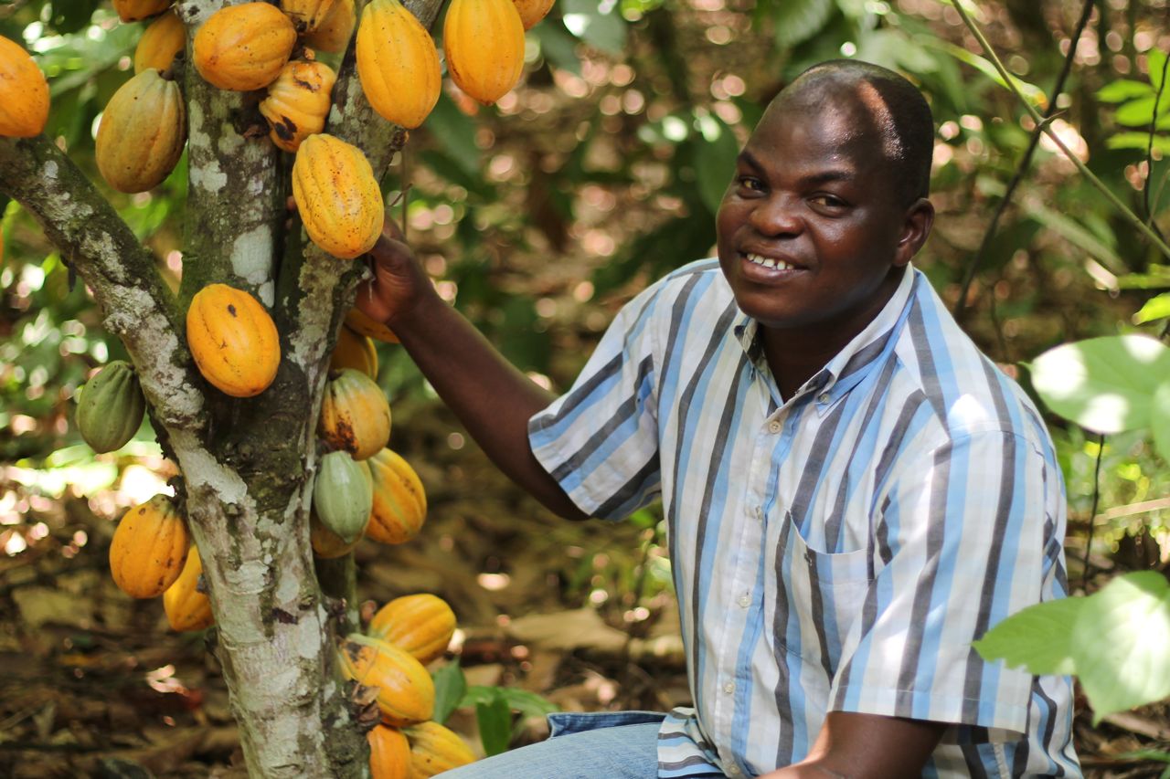 New Field Partner: Advans Côte d&apos;Ivoire brings credit to cocoa farmers...