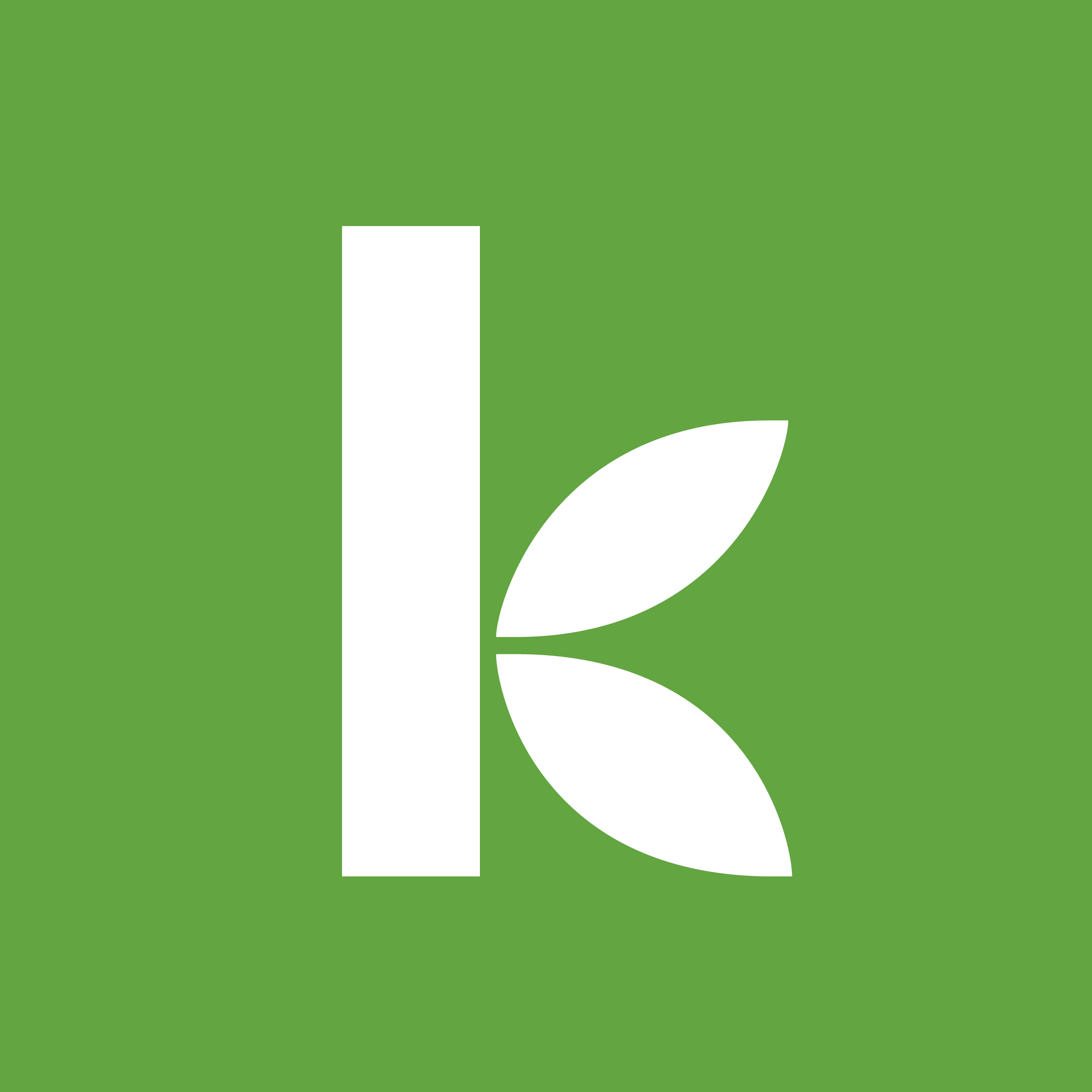 Kiva Personal Loans
