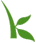 Kiva K